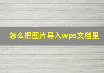 怎么把图片导入wps文档里