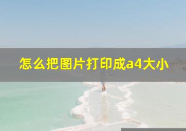 怎么把图片打印成a4大小