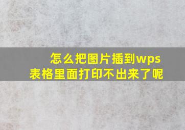 怎么把图片插到wps表格里面打印不出来了呢