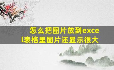 怎么把图片放到excel表格里图片还显示很大