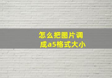 怎么把图片调成a5格式大小