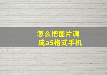 怎么把图片调成a5格式手机