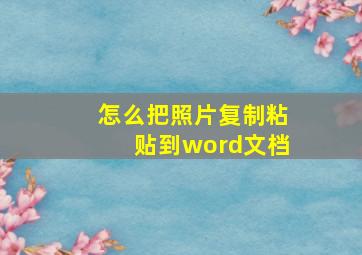 怎么把照片复制粘贴到word文档