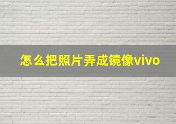 怎么把照片弄成镜像vivo