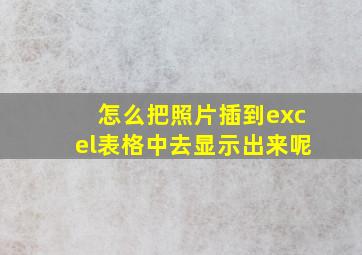 怎么把照片插到excel表格中去显示出来呢