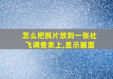 怎么把照片放到一张社飞调查表上,显示画面