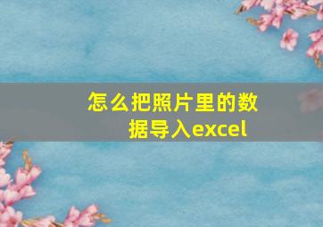 怎么把照片里的数据导入excel