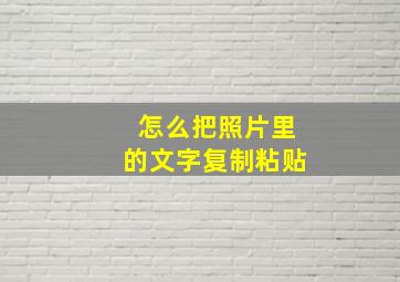 怎么把照片里的文字复制粘贴