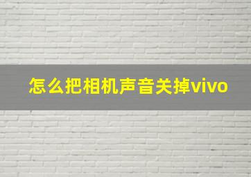 怎么把相机声音关掉vivo