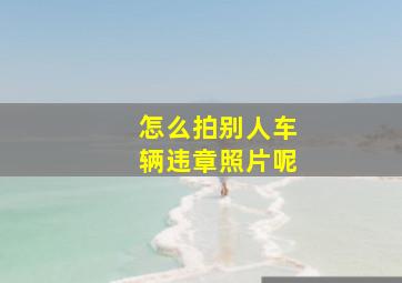 怎么拍别人车辆违章照片呢