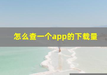 怎么查一个app的下载量