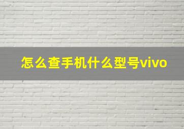 怎么查手机什么型号vivo