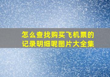 怎么查找购买飞机票的记录明细呢图片大全集