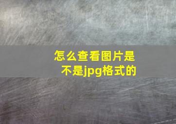 怎么查看图片是不是jpg格式的