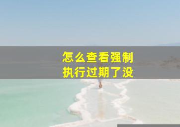 怎么查看强制执行过期了没