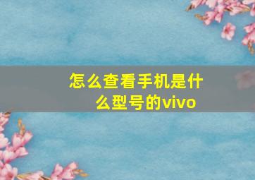 怎么查看手机是什么型号的vivo