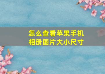 怎么查看苹果手机相册图片大小尺寸