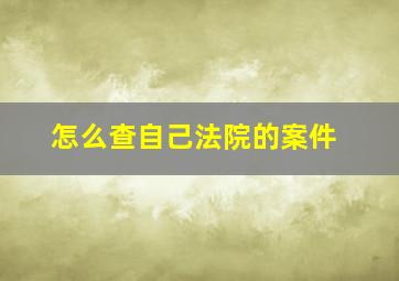 怎么查自己法院的案件