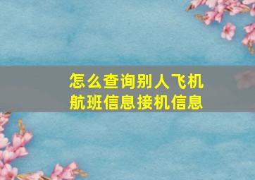 怎么查询别人飞机航班信息接机信息