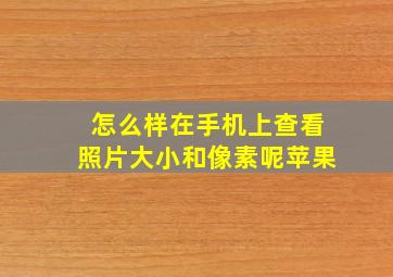 怎么样在手机上查看照片大小和像素呢苹果