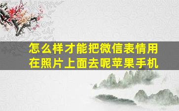 怎么样才能把微信表情用在照片上面去呢苹果手机