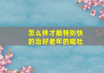 怎么样才能特别快的治好老年的呕吐