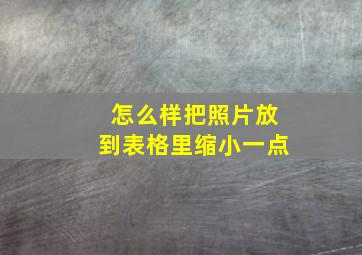 怎么样把照片放到表格里缩小一点