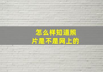 怎么样知道照片是不是网上的