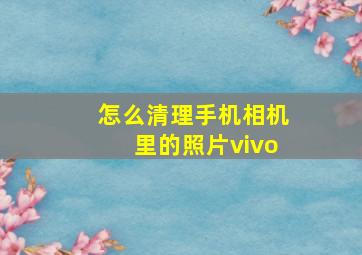 怎么清理手机相机里的照片vivo