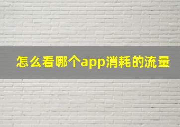 怎么看哪个app消耗的流量