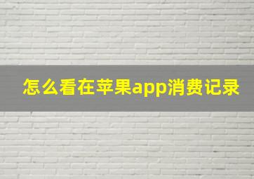 怎么看在苹果app消费记录