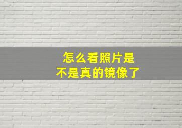 怎么看照片是不是真的镜像了