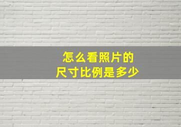 怎么看照片的尺寸比例是多少