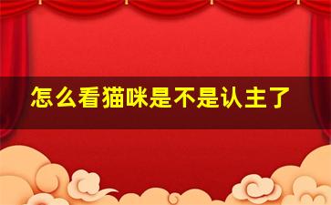 怎么看猫咪是不是认主了