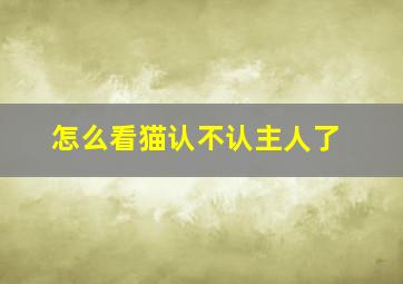 怎么看猫认不认主人了