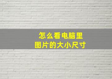 怎么看电脑里图片的大小尺寸