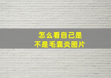 怎么看自己是不是毛囊炎图片