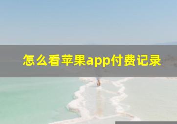 怎么看苹果app付费记录