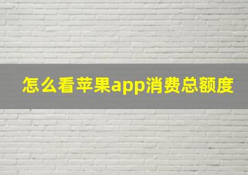 怎么看苹果app消费总额度