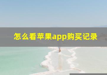 怎么看苹果app购买记录