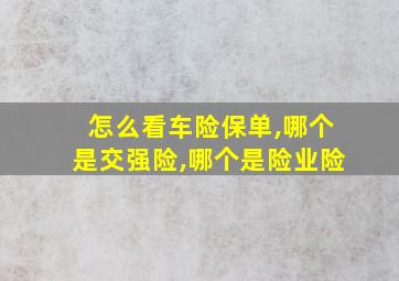 怎么看车险保单,哪个是交强险,哪个是险业险