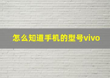 怎么知道手机的型号vivo