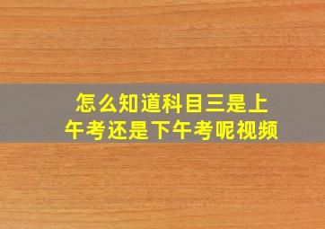 怎么知道科目三是上午考还是下午考呢视频