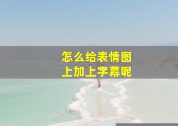 怎么给表情图上加上字幕呢