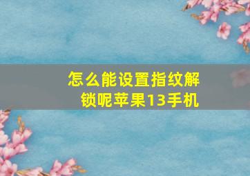 怎么能设置指纹解锁呢苹果13手机