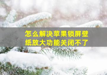 怎么解决苹果锁屏壁纸放大功能关闭不了