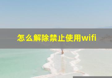 怎么解除禁止使用wifi