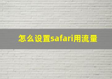 怎么设置safari用流量