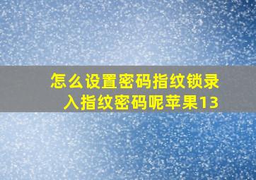 怎么设置密码指纹锁录入指纹密码呢苹果13