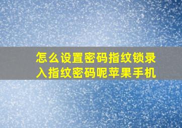 怎么设置密码指纹锁录入指纹密码呢苹果手机